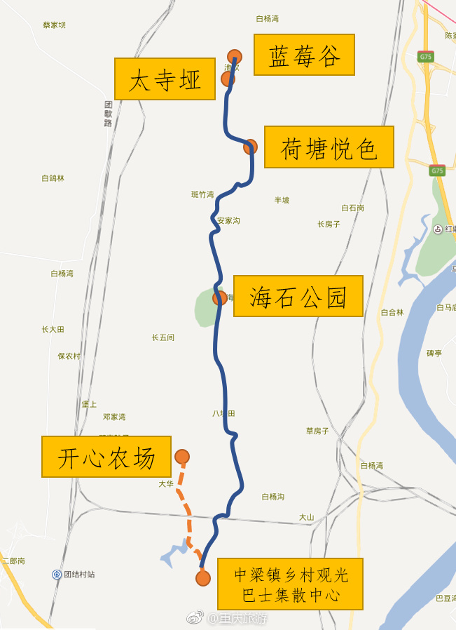 重庆又一旅游观光巴士开始运行