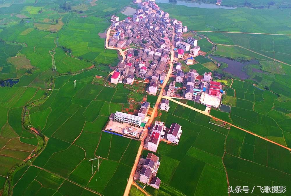 江西丰城这些村,美得不像话,外地姑娘争着嫁!