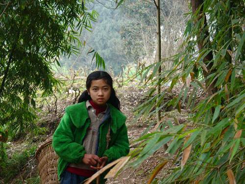女孩山里遇母猴产子用外衣为它们包裹公猴送柴枝和野果报答
