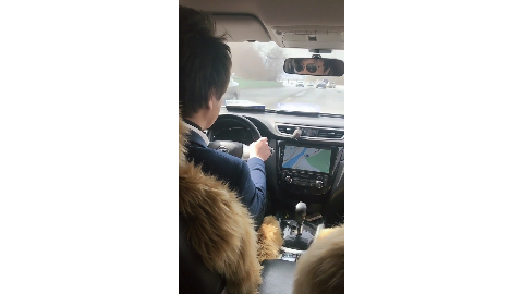 会骂人的导航 车主气晕车了