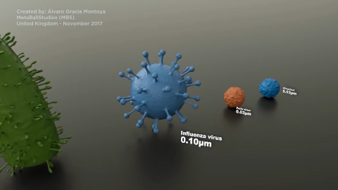微观尺度——各种微生物大小对比，人体就是它们的宇宙