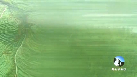 玉林旅行 【博白县顿谷镇大塘梯田】位于海拔