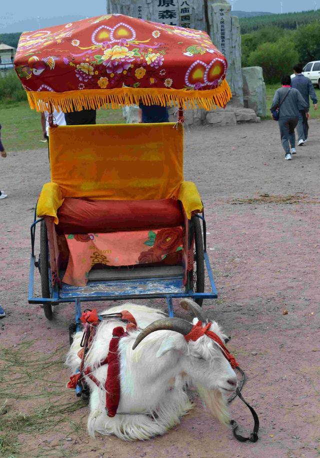 知道该临幸哪个妃子的时候,心生一计,想出了一个这样的法子"羊车望幸"
