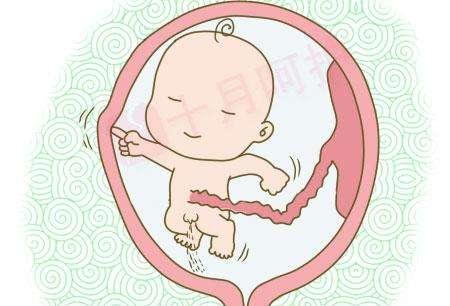 孕育生命真是奇妙怀孕期间的8个趣事你知道几个