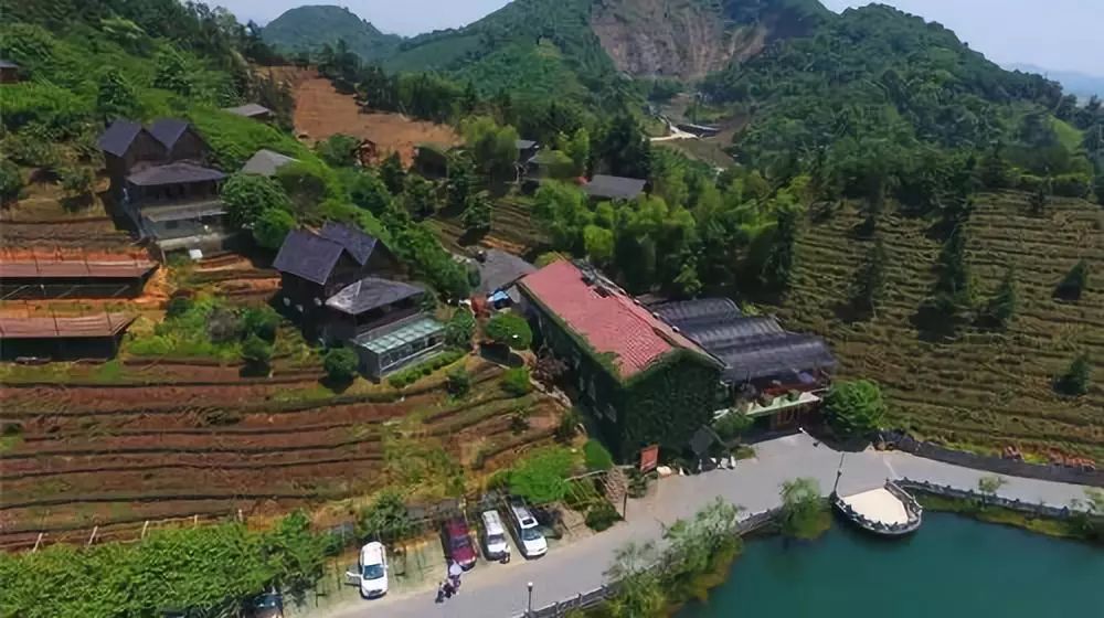 "共享农庄"如何借势乡村振兴战略,屹立风口?