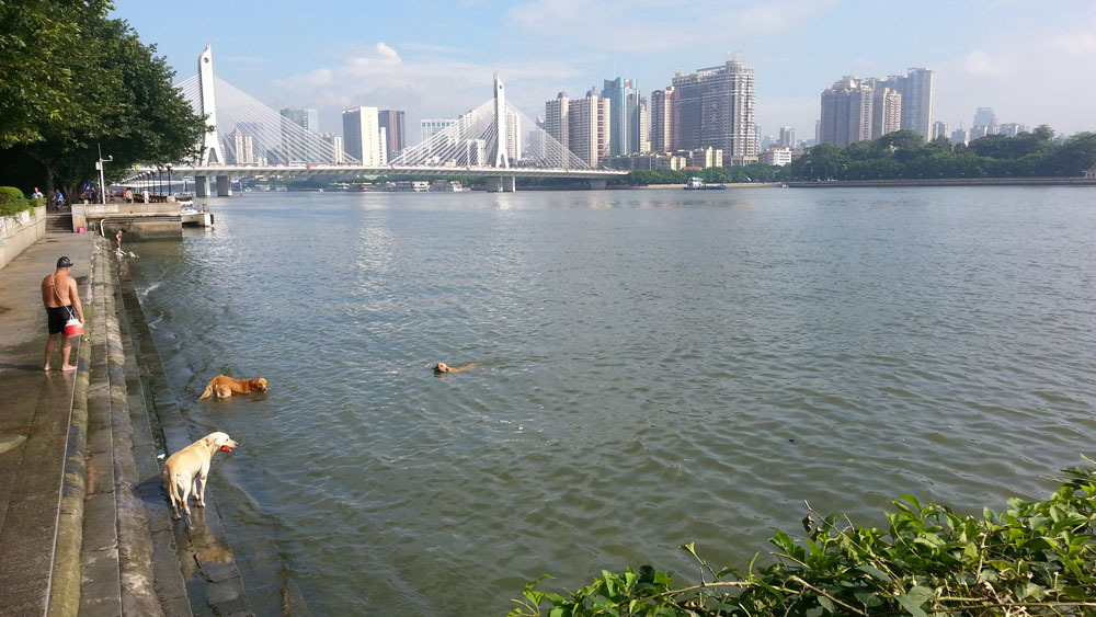 广东省的省会城市,更是我国的国家中心城市,在古代曾被称作为任嚣城