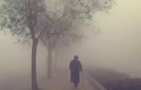 《雾中散步》