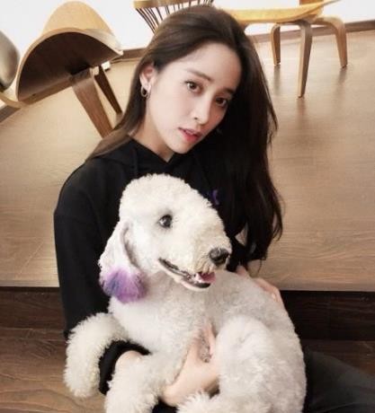 在2014年出道,出演了《北京爱情故事》里的拉大提琴的女学生刘星阳,让