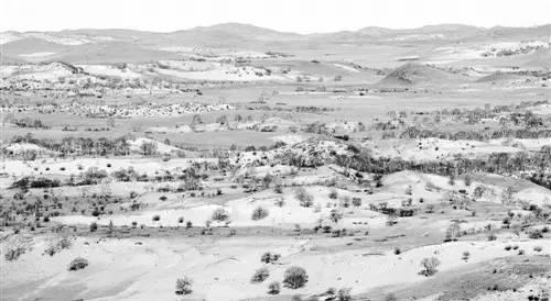 黄晓明|塞罕坝|林海_新浪新闻