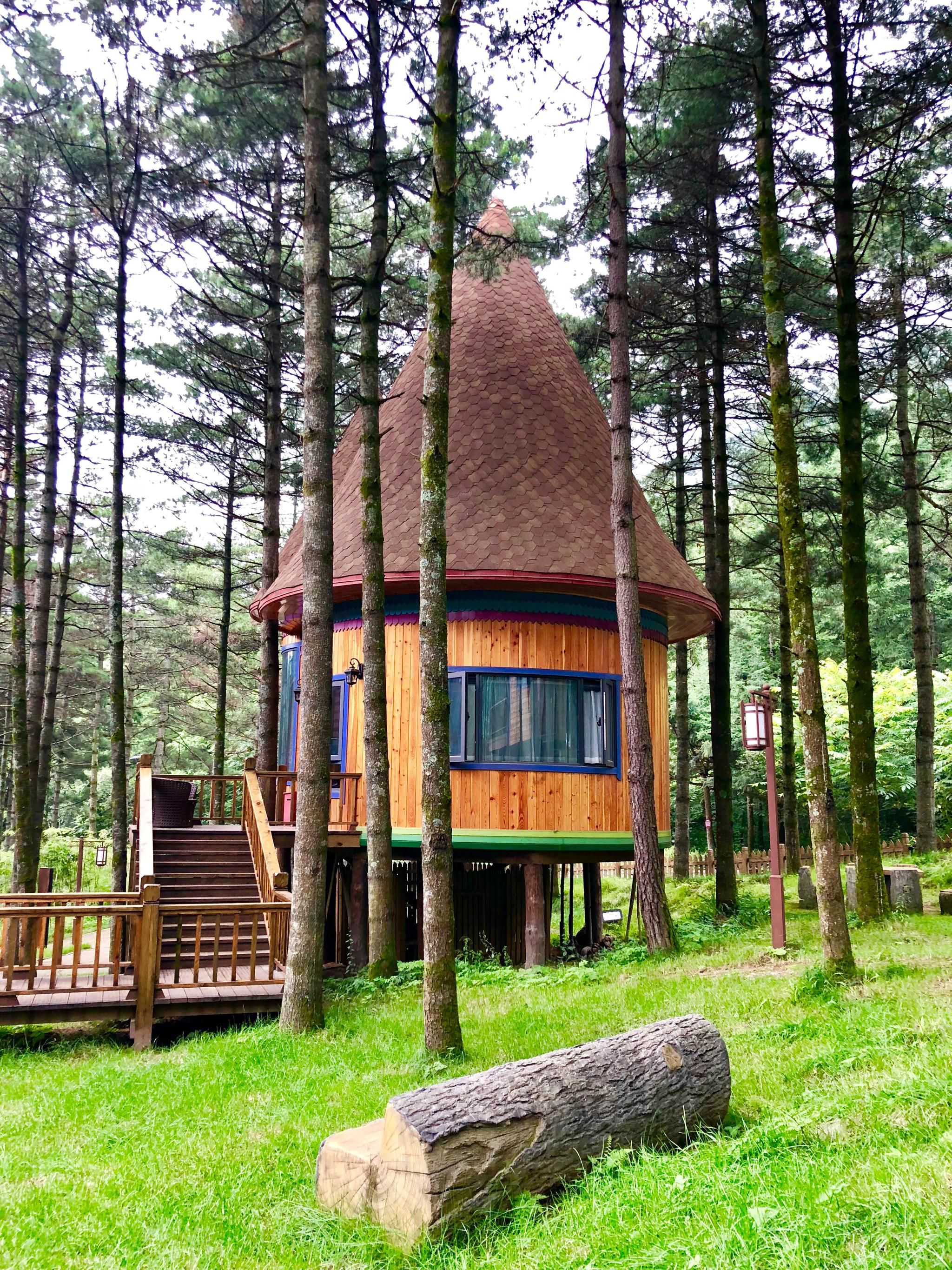 森林木屋别墅在这住一夜那该有爽