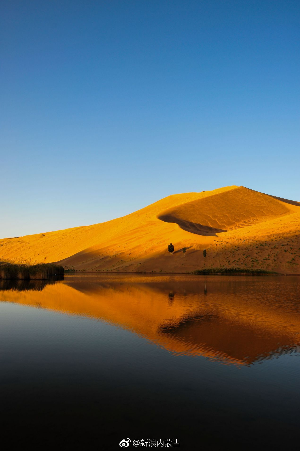 户外嘉年华徒步旅游节"在乌兰布和生态沙产业示范区额吉淖尔湖畔开幕