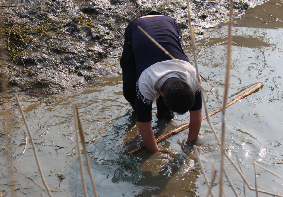全家总动员乡间捉鱼,给孩子一个不一样的童年!