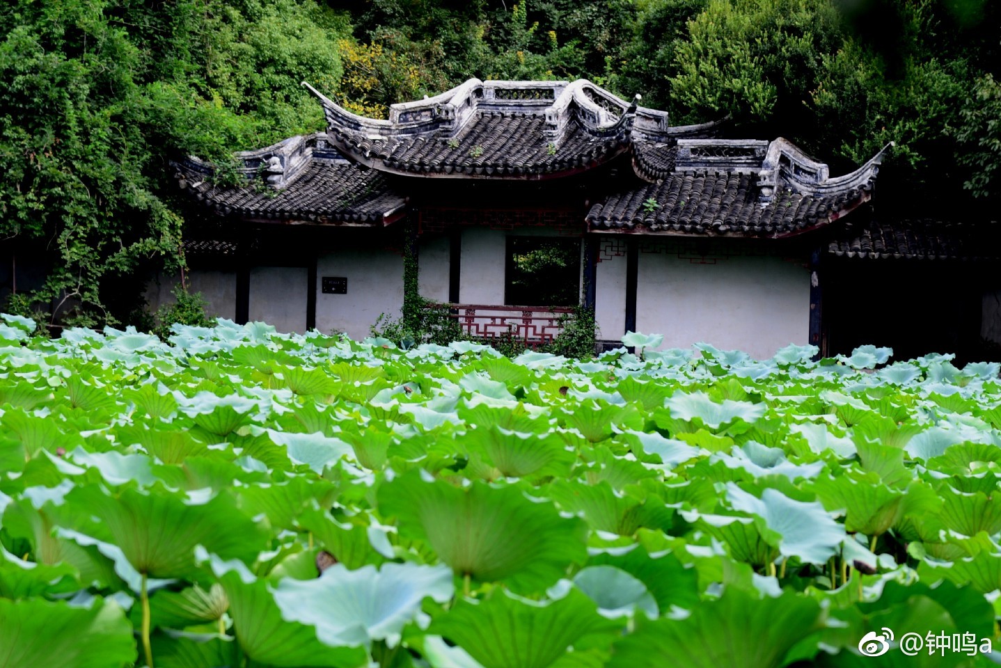 小莲庄是南浔古镇唯一保存完整的建筑