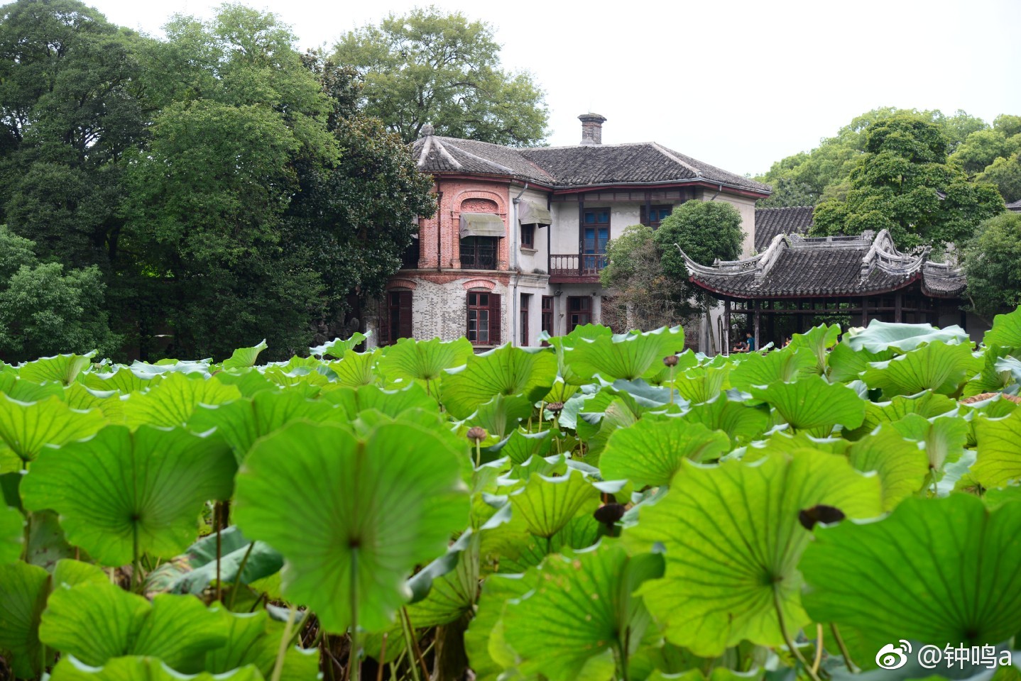 小莲庄是南浔古镇唯一保存完整的建筑