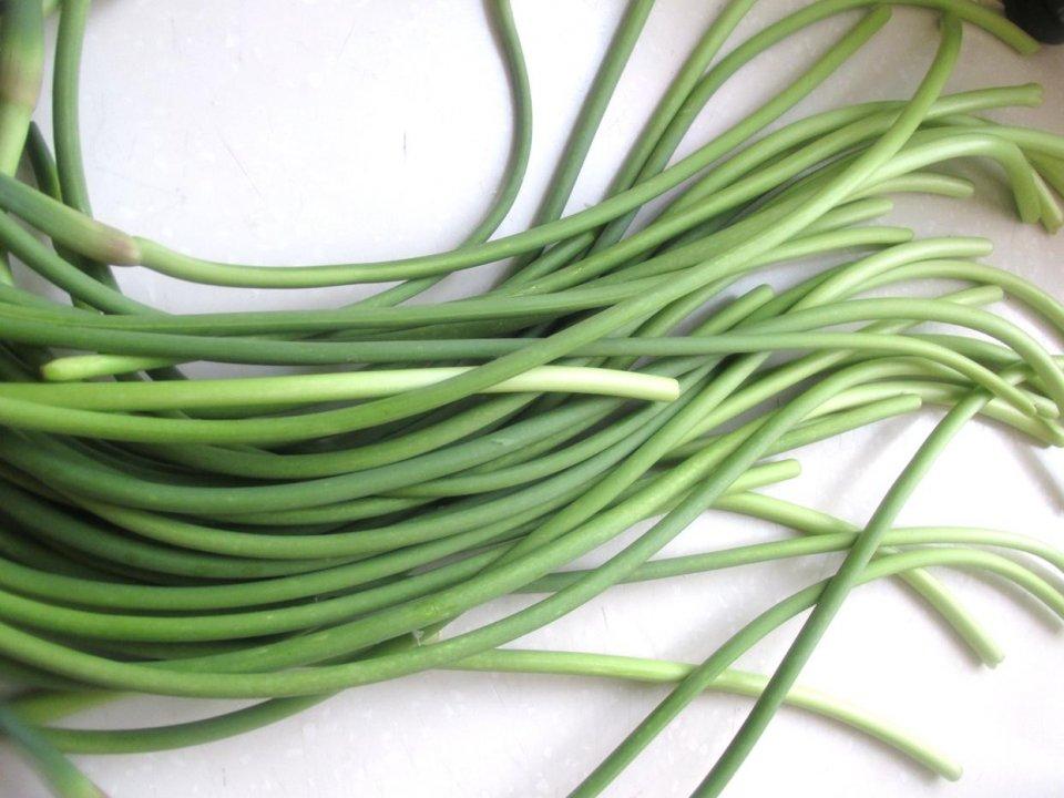 新鲜蒜薹大量上市季节, 腌制蒜薹小咸菜, 喝粥佐餐都不错|蒜薹|蒜苔