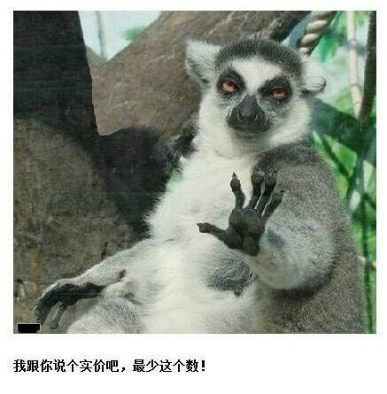 神一样的爆笑抓拍瞬间,哈哈哈太形象了!