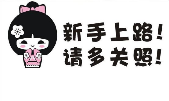 迟到的迈腾b8提车记,小女子初来乍到,还请各位前辈多多指教.