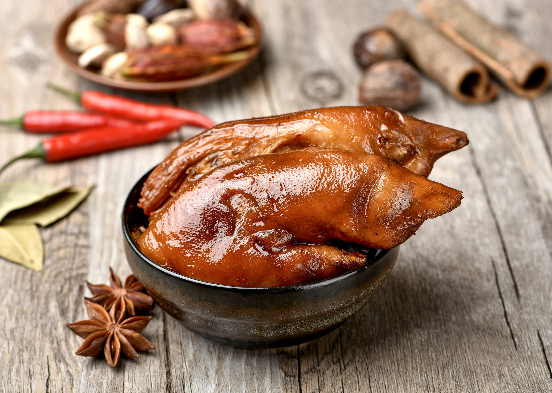 全营养冻干猫粮推荐