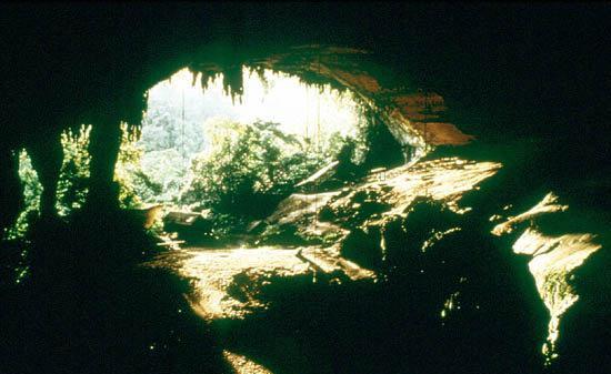 阿苏伊幽谷到底有多深探秘火炬岛人体自燃之谜