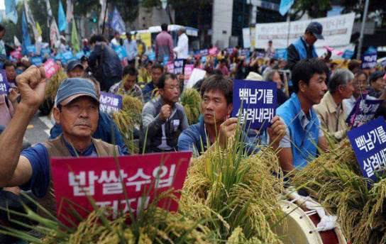 韩国农民大规模游行示威,抗议文在寅政府的不注重民生!