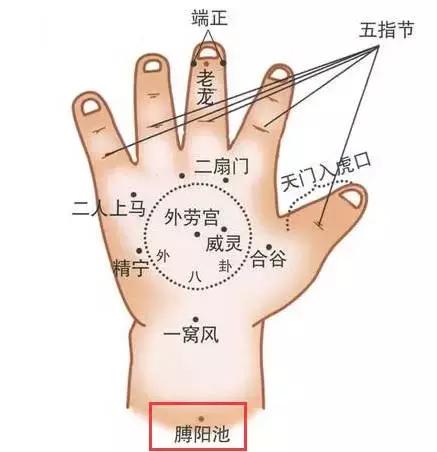 掐膊阳池——疏风解表,通二便