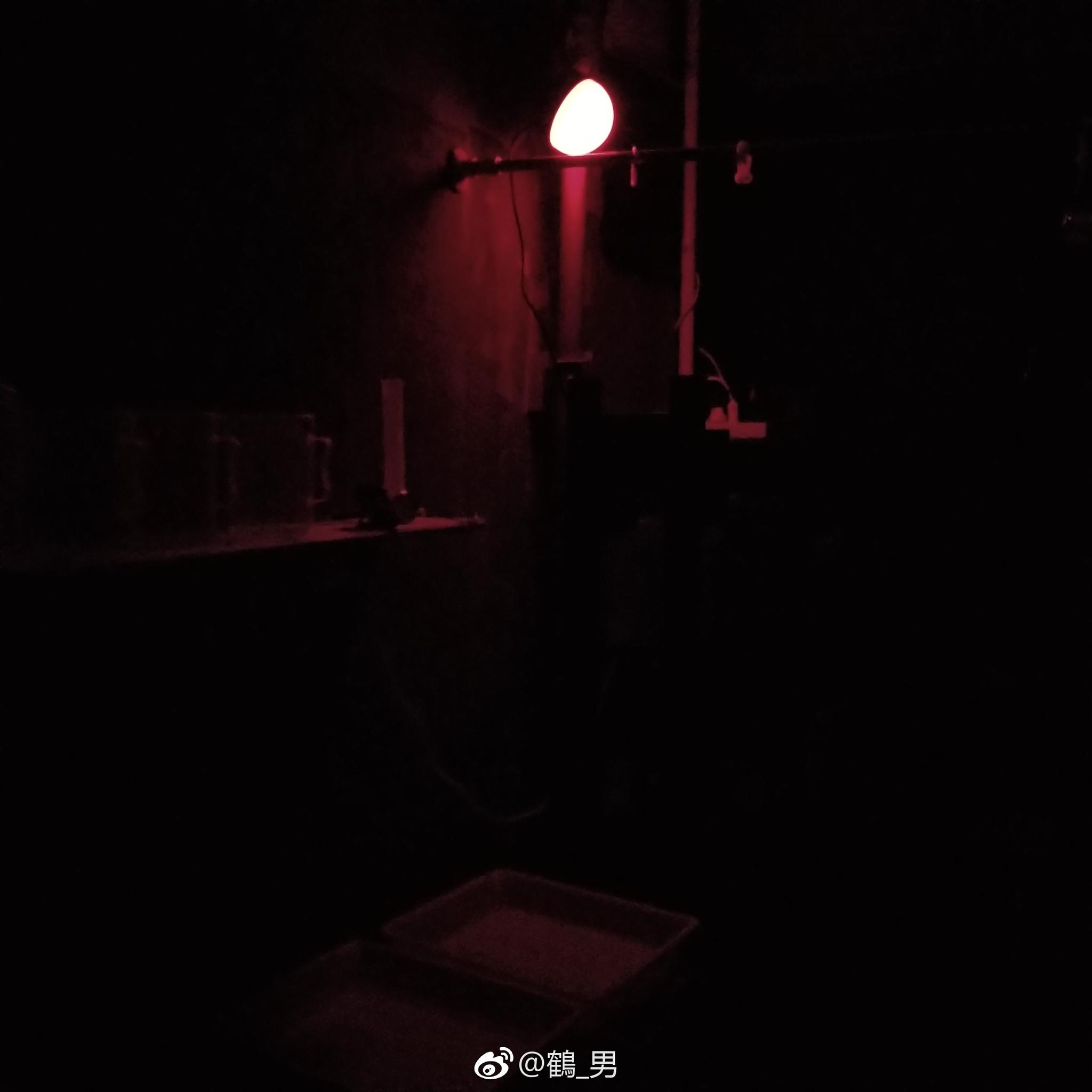 在暗房玩了一天