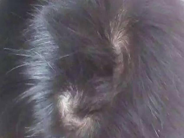原来宝宝头上的"头旋"隐藏着这么多秘密!你家的孩子有几个旋?