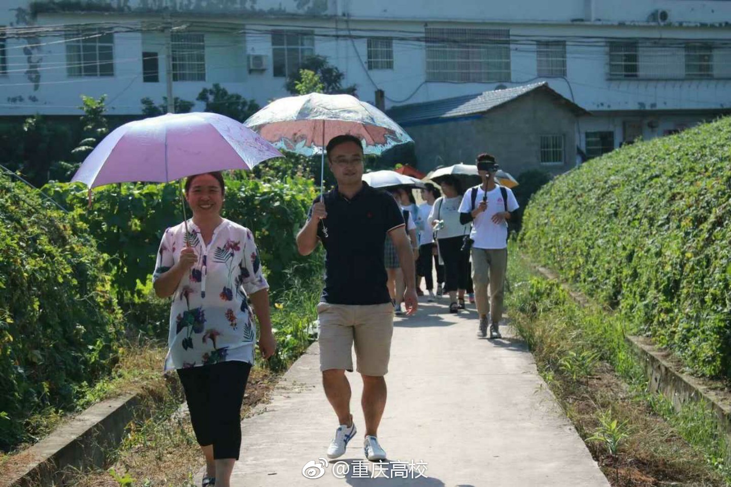 2018重庆大学生三下乡照片分享，图7笑得好甜|重庆大学生|下乡_新浪新闻