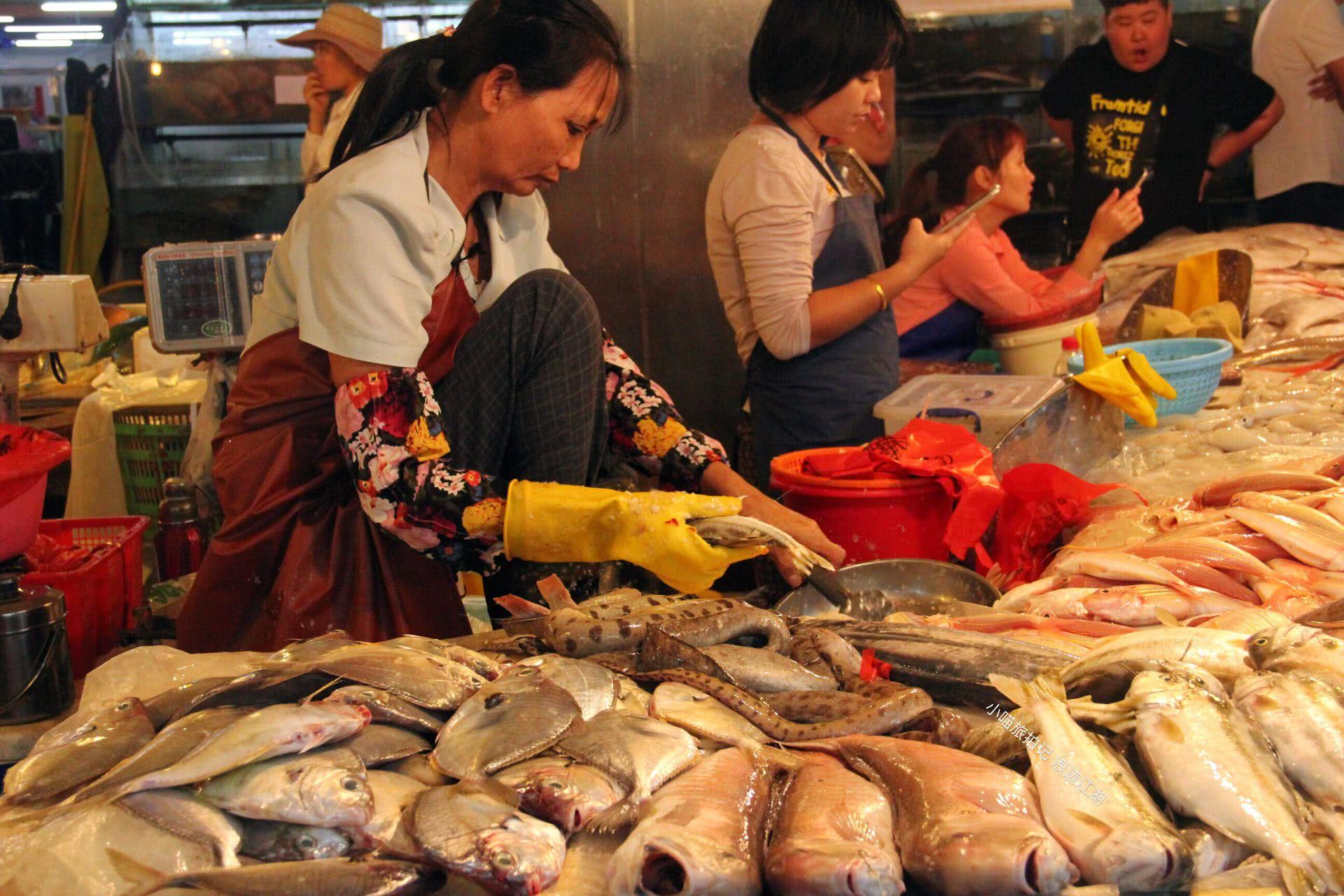 带你看真实的海南三亚海鲜市场,一只大龙虾160元,贵吗?