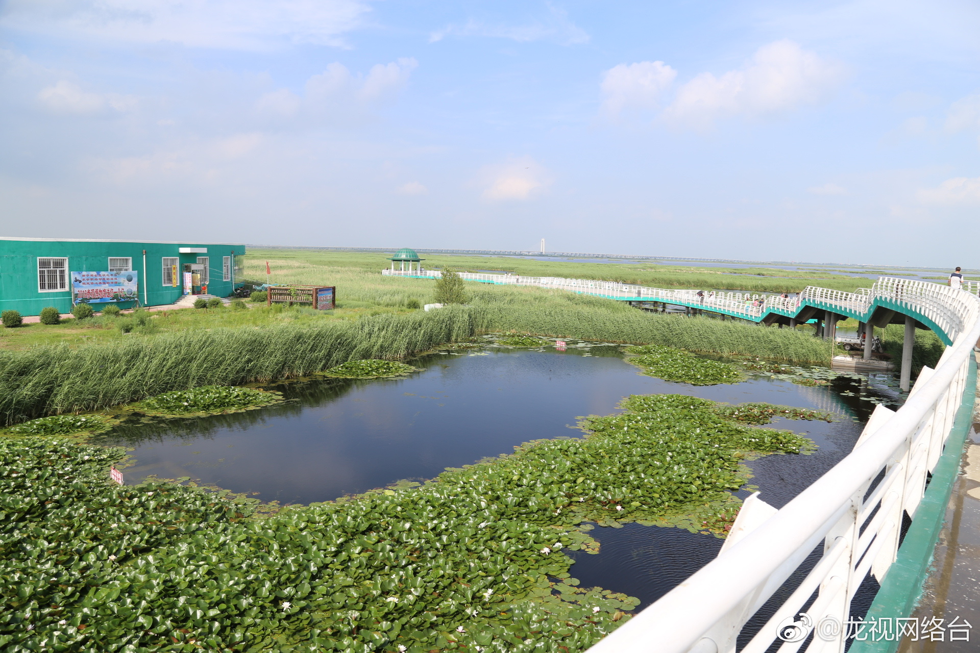 大庆龙凤湿地自然保护区,位于位于黑龙江省大庆市龙凤区境内东南