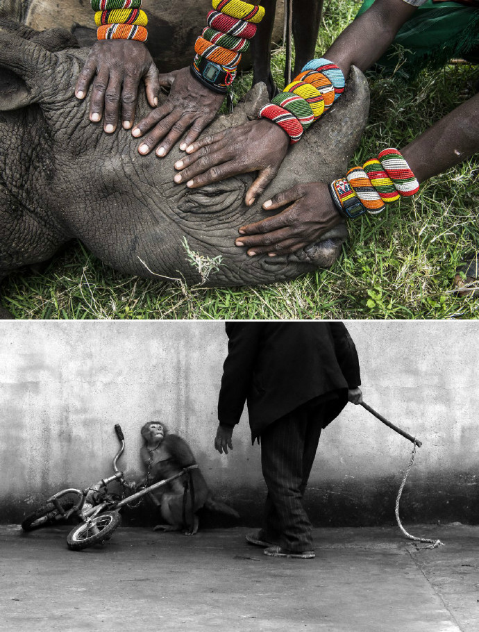 《世界新闻摄影奖》19张触动人心的作品