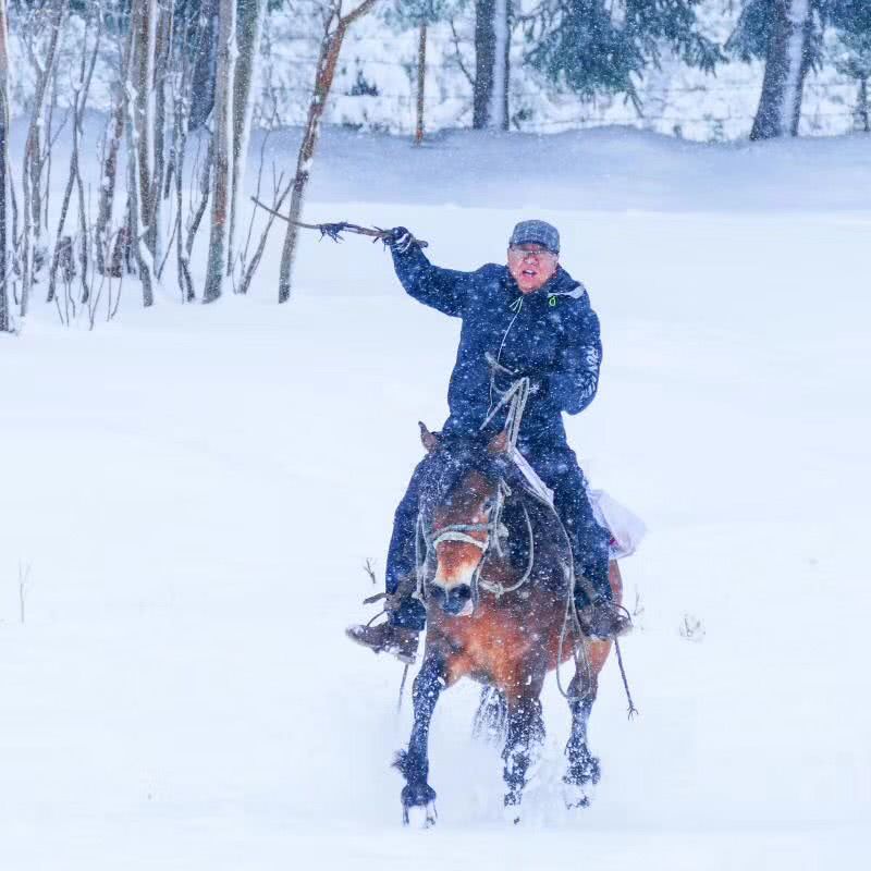 那拉提草原大雪林海,策马扬鞭飞驰,马倒人不倒,真是英雄本色!