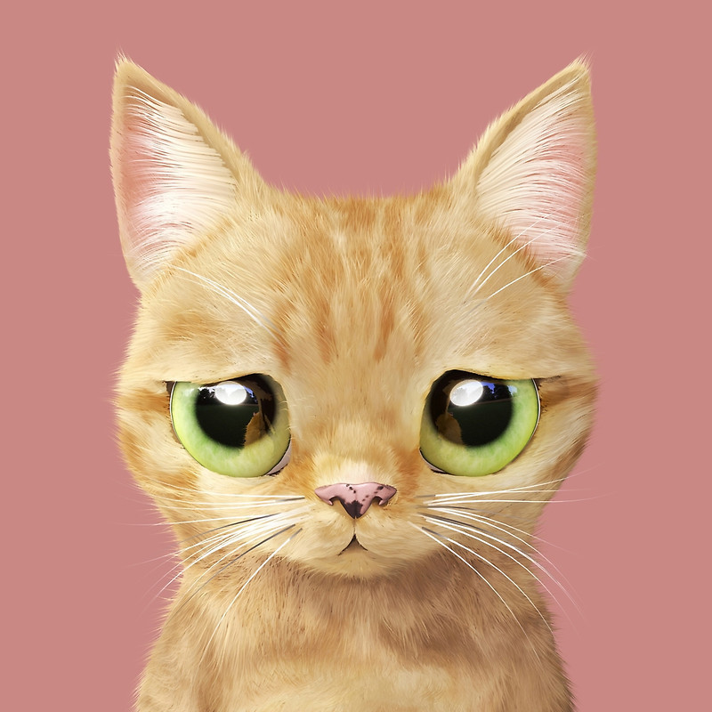 呆萌卡通大眼猫咪