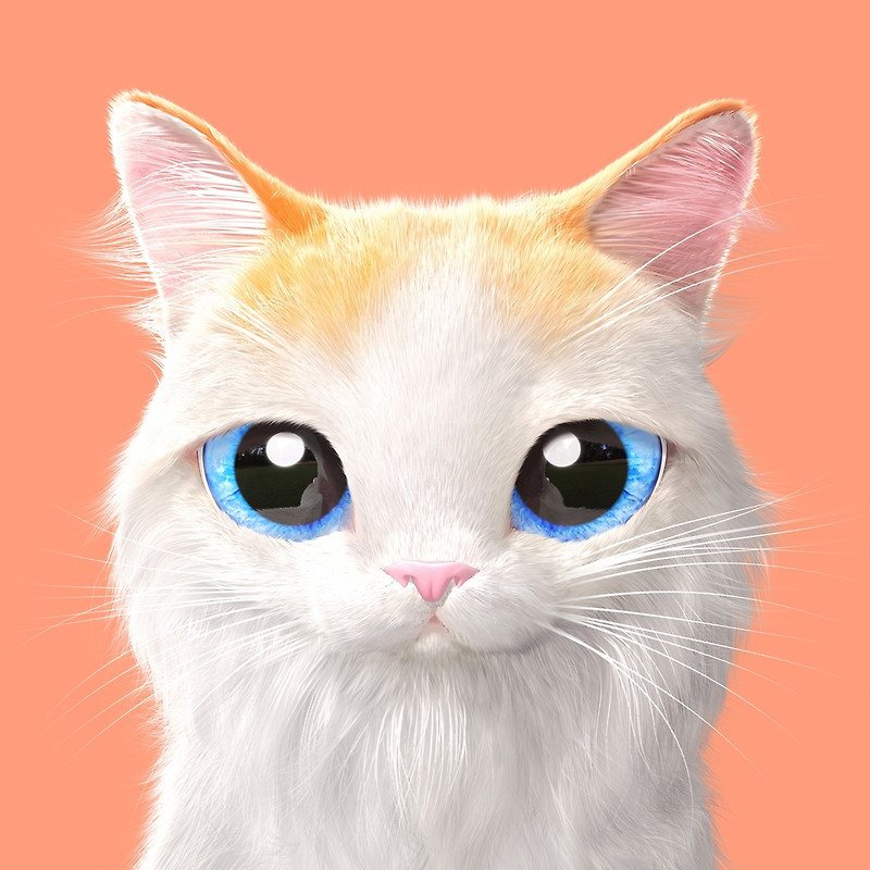 呆萌卡通大眼猫咪