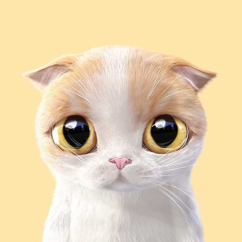 呆萌卡通大眼猫咪