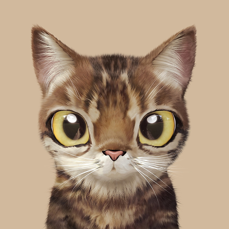呆萌卡通大眼猫咪