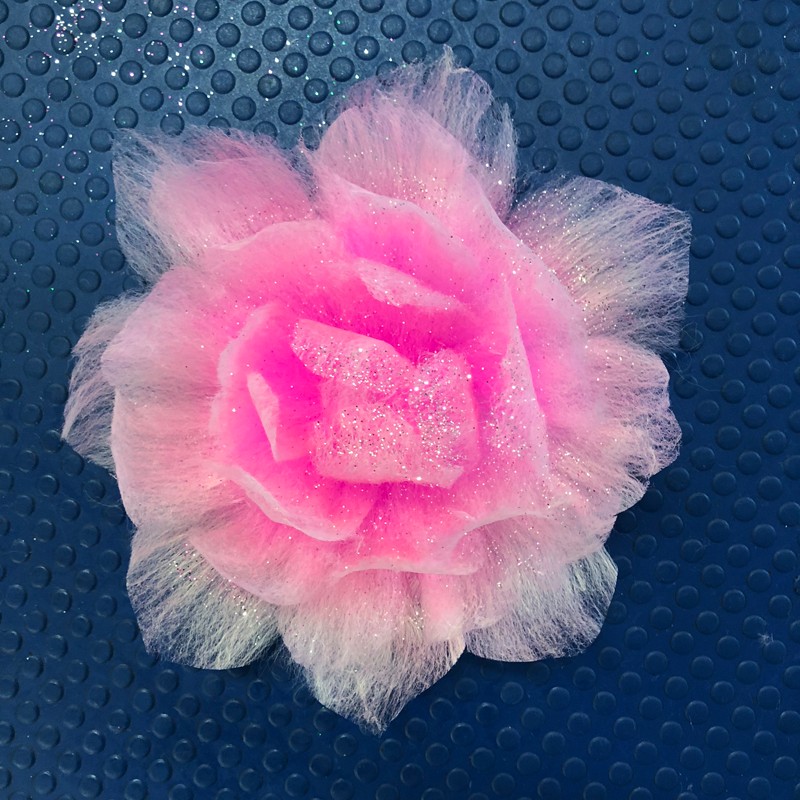 来自我们圣宠宠物第2期行为美容师b级班的染色作品评比