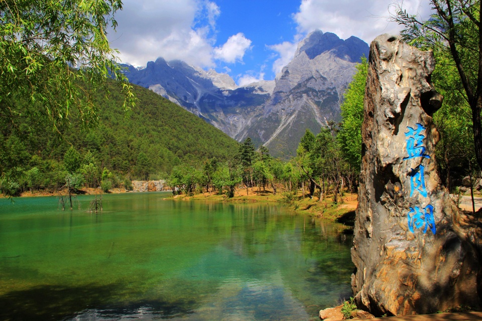 如何提前布局seo