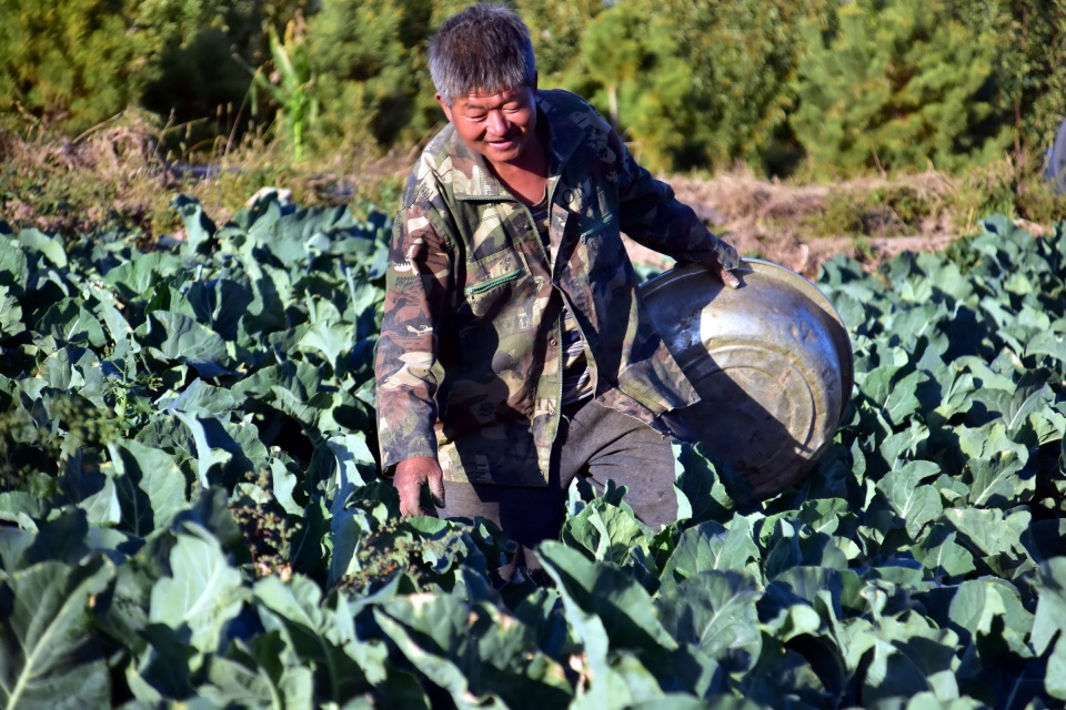 三十年河东三十年河西当年嫁的好现在吃苦受累却买不了一套房