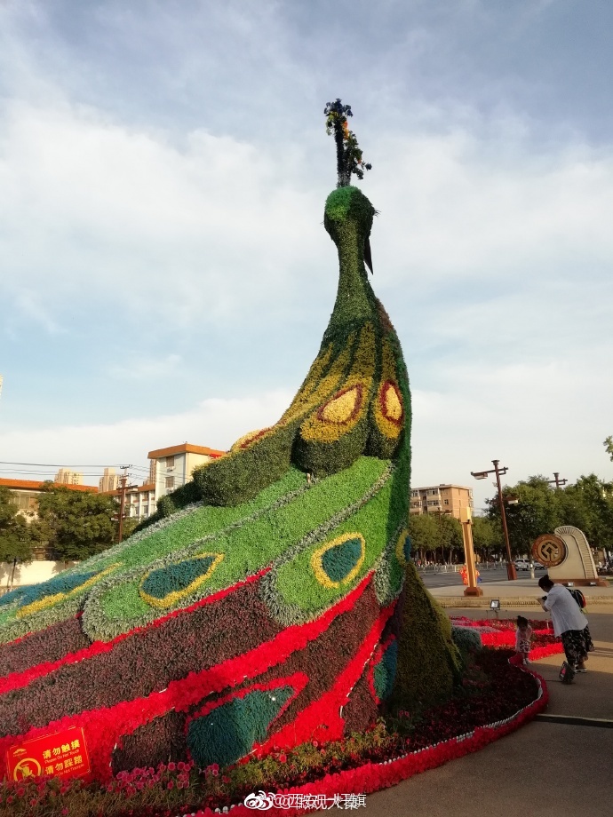 西安大明宫公园门口有一只用鲜花组成的孔雀,足有五六米高,造型逼真
