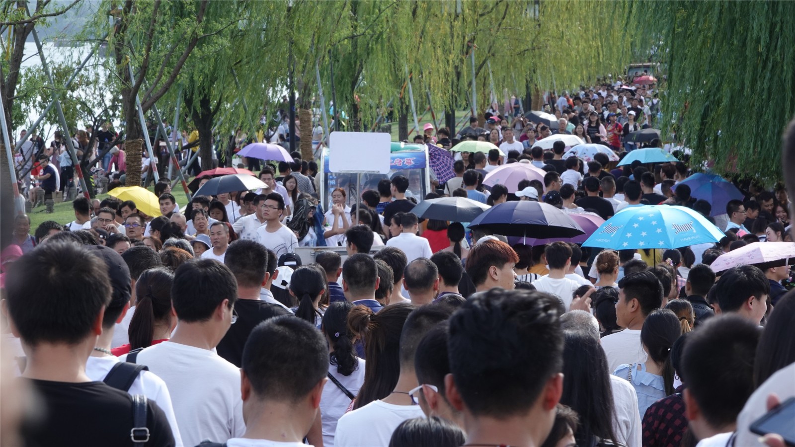 从!众!国庆首日西湖断桥人头攒动,网友:断桥真要断了