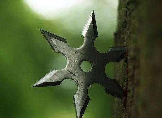 流星镖,这是日本忍者常用的一种暗器,上面有6个锋利的小刀刃,每个小