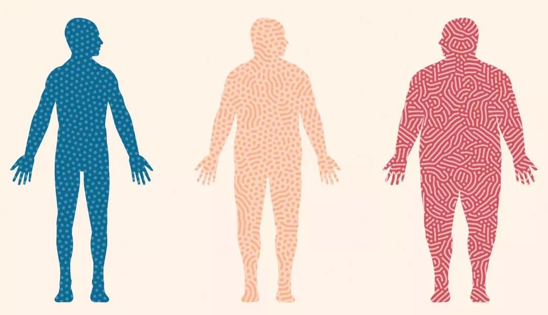 600元4小时快餐:都市高效饮食解决方案全解析