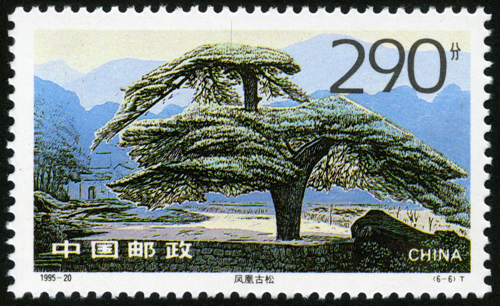 四大佛山之九华山,1995年发行,一套六枚|九华山|肉