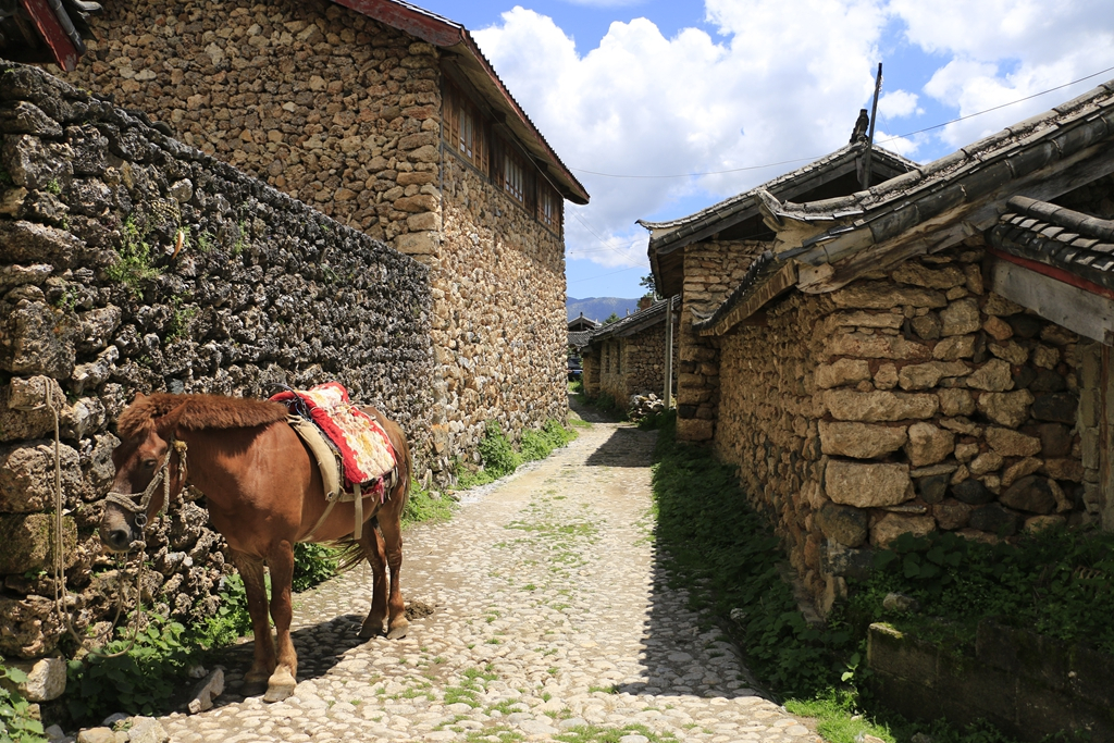 避开丽江古城,寻找玉湖村,一个玉龙雪山下的石头村落