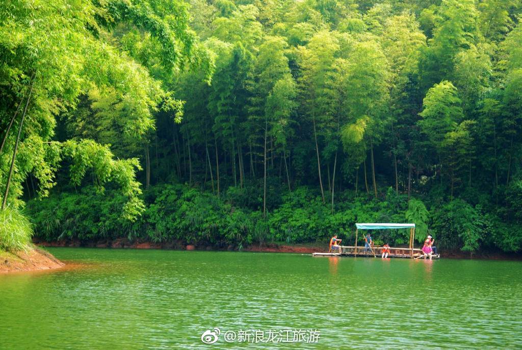 四川宜宾|蜀南竹海|强子|避暑_新浪新闻