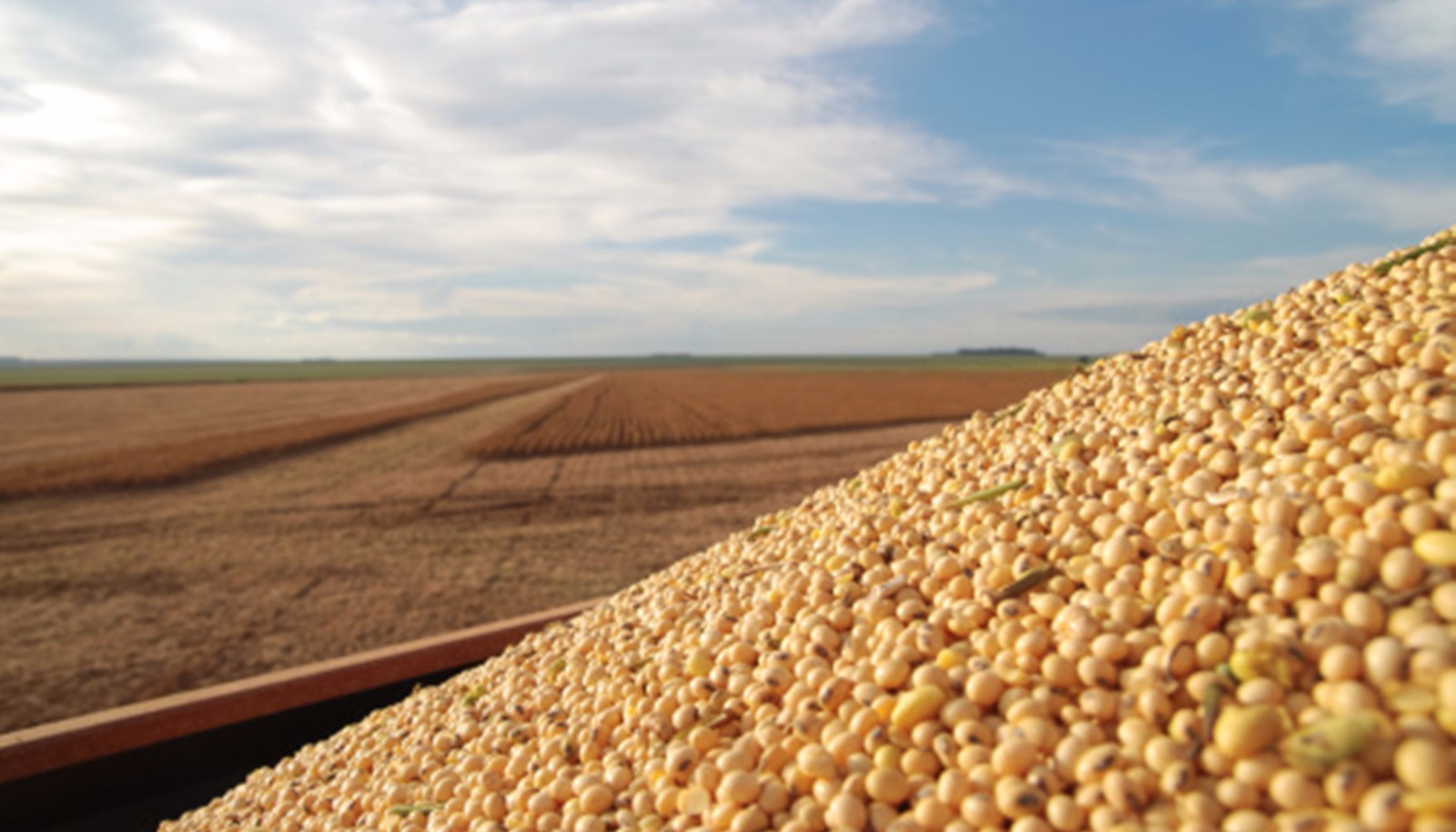 【大豆专题-01.06】复盘历年南美干旱对美豆的影响 - 知乎