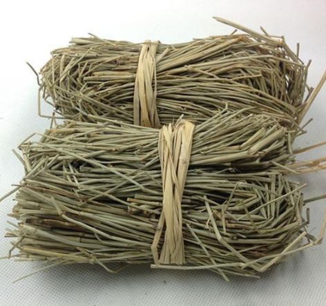 农村地里长的"节节草",药用价值高,还能作为玩具玩!