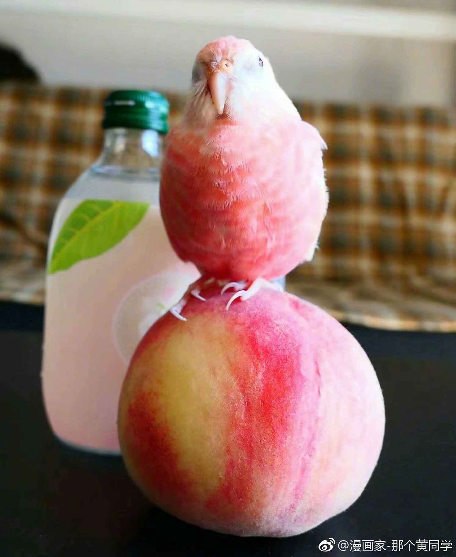 这水蜜桃成精了!好可爱 cr黎黎的金鸟笼