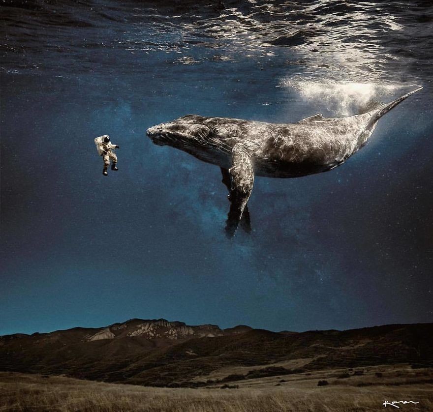 这组动物为主的超现实p图,看了让人自觉放慢心跳!